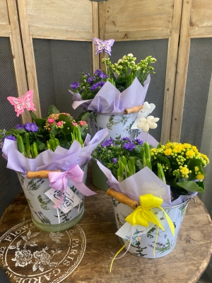 Mothers day Spring Planter