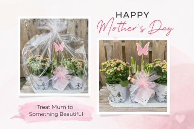 Enchanted Trio Planter