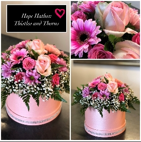 Hatbox Arrangements