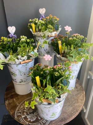 Mothers day Spring Planter