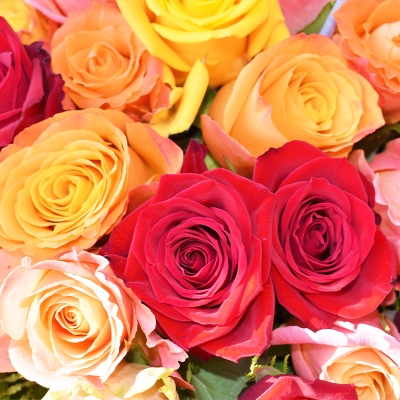 Valentines Florist Choice Aqua Pack