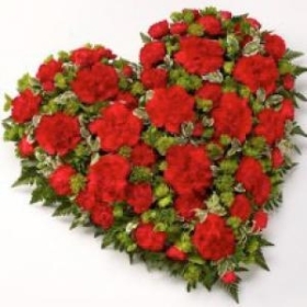 Carnation Heart