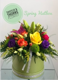 Spring Hatbox