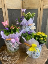 Mothers day Spring Planter