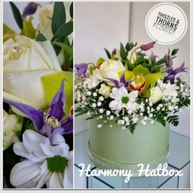 Harmony Hatbox