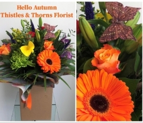 Hello Autumn