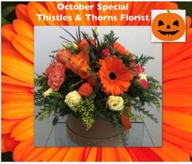 October Special